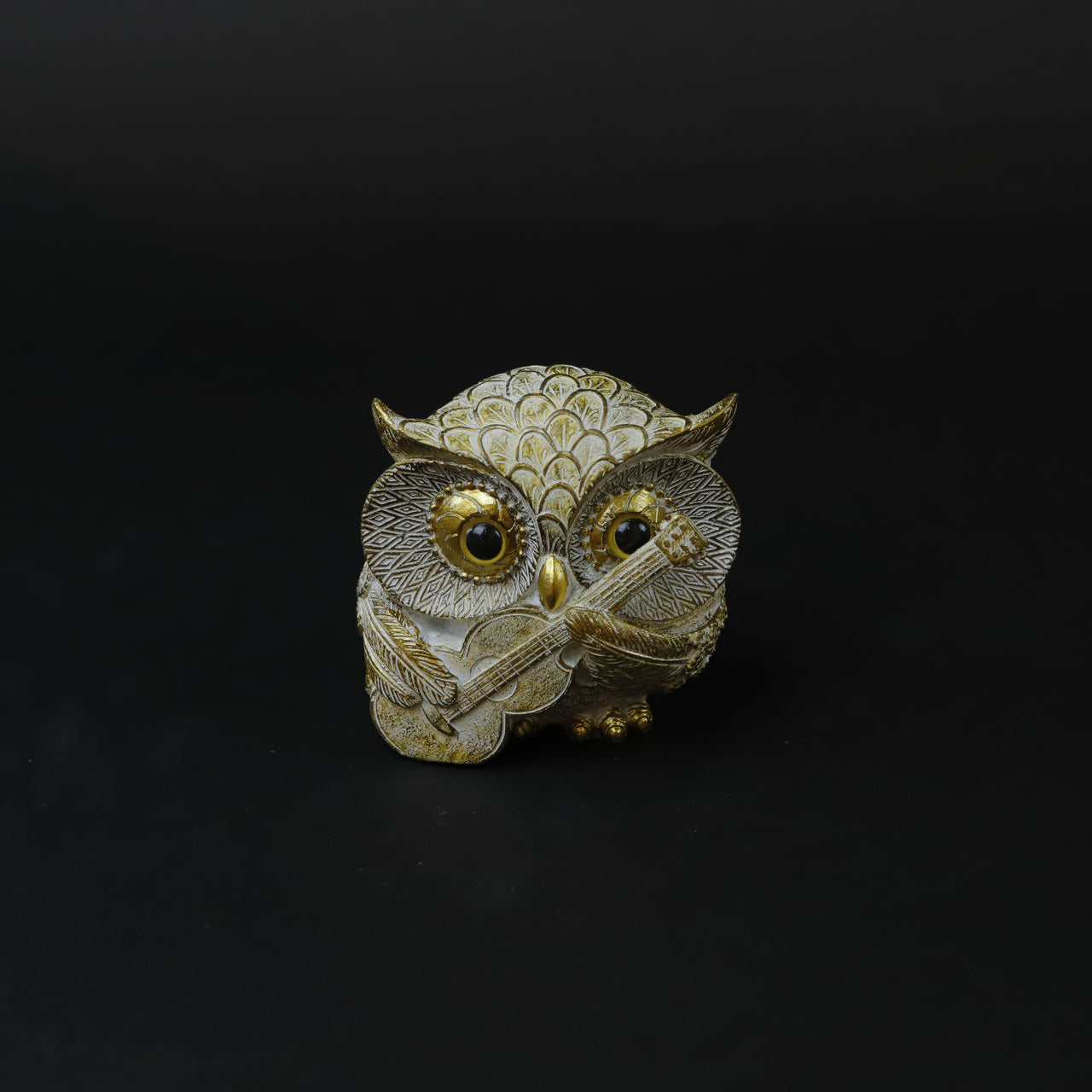 HCHD6916 - Owl Playing Guitar