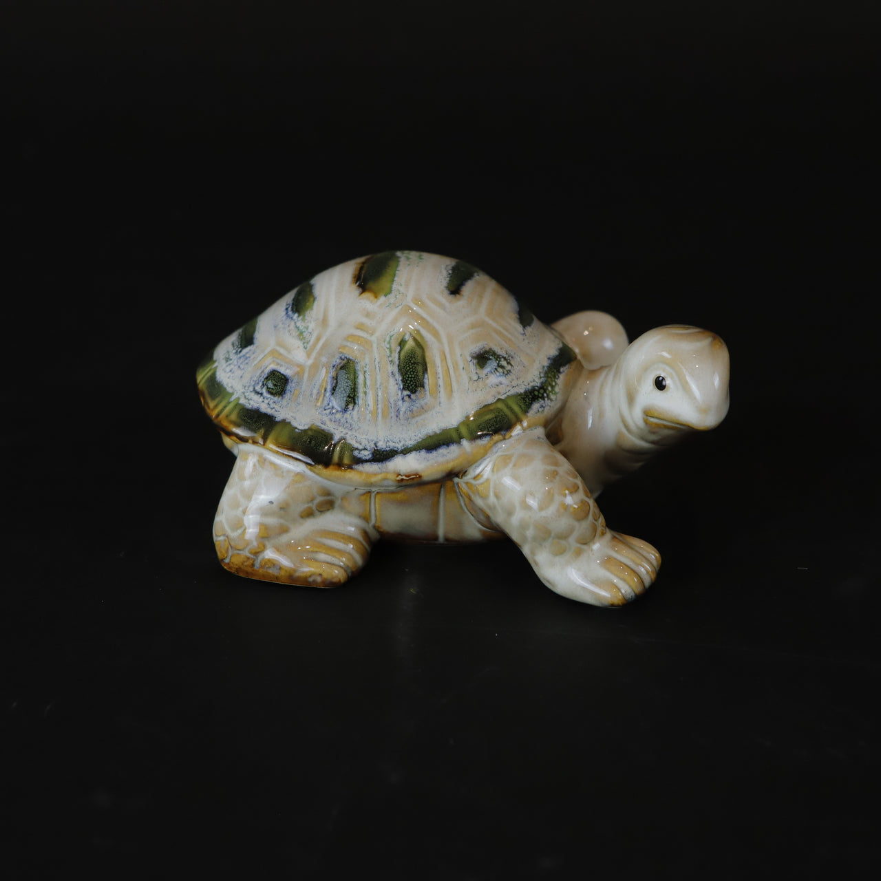 HCHD7204 - Small Green Turtle