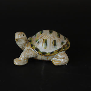 HCHD7206 - Medium Green Turtle