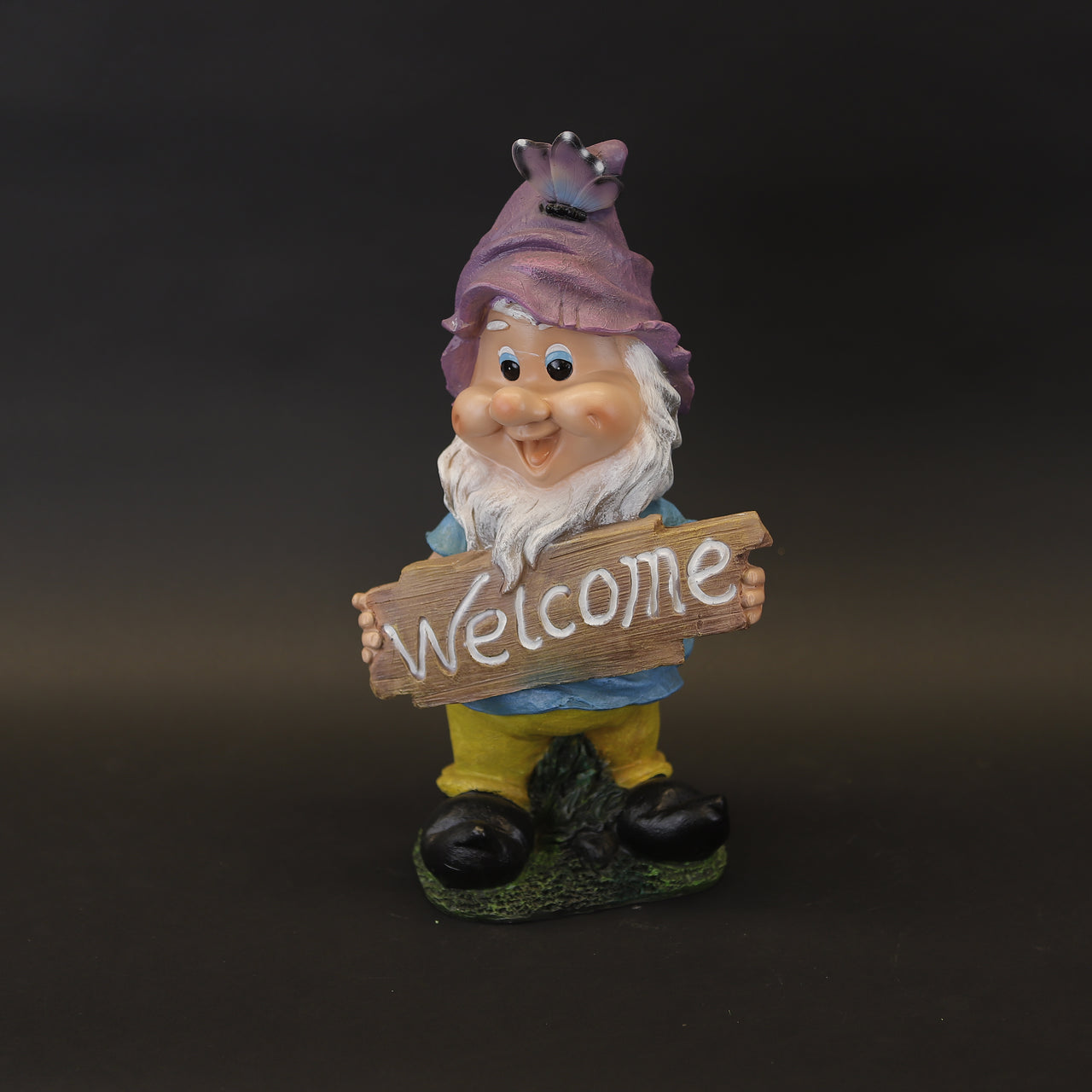 HCHD7572 - Blue Bird Welcome Elf