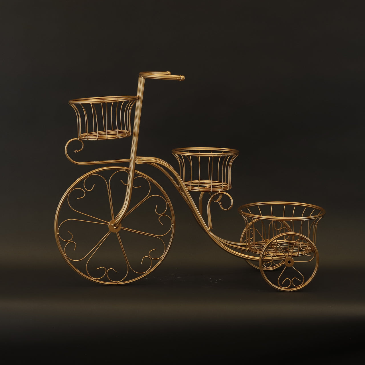 HCHD8449 - M Gold Bicycle Plant Stand
