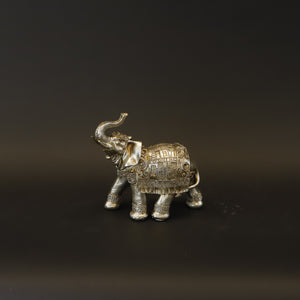 HCHD8728 - Gold Blanketed Elephant - M