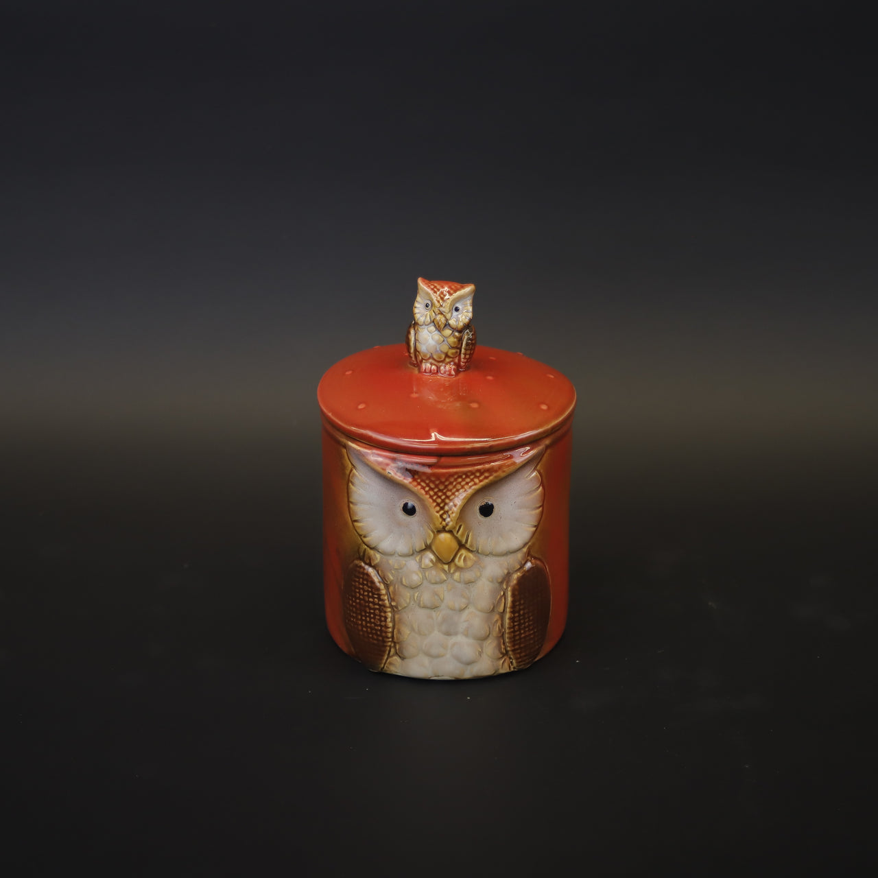 HCHD9421 - Orange Owl Canister