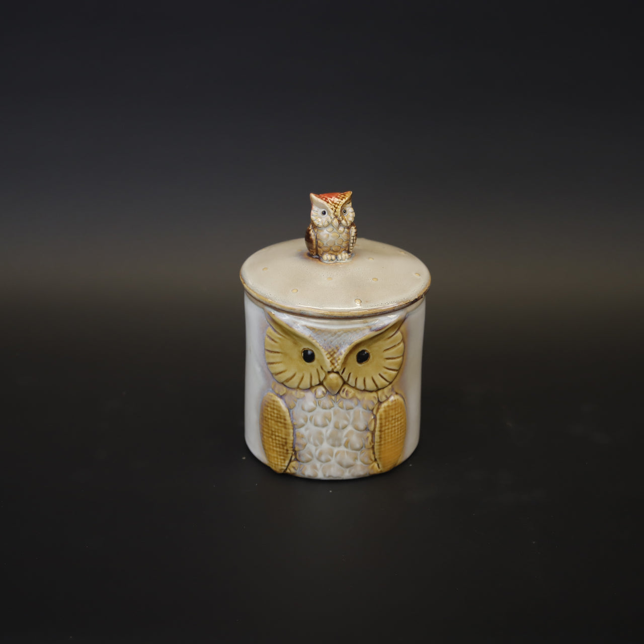 HCHD9422 - Cream Owl Canister