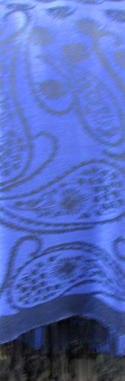 PS211 - Pashmina Shawl