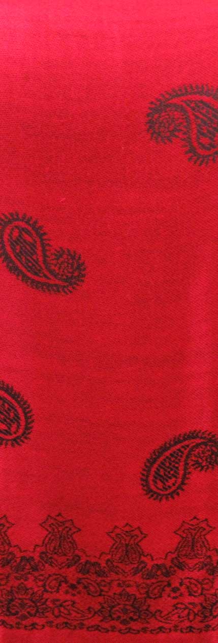 PS213 - Pashmina Shawl