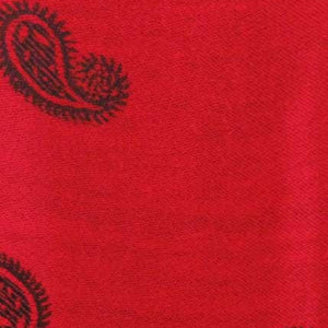 PS213 - Pashmina Shawl