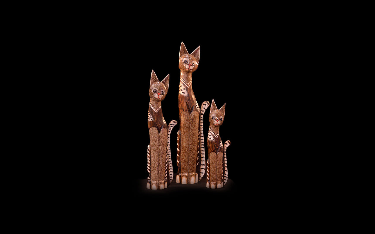 WCA0107 - Cat - 39"
