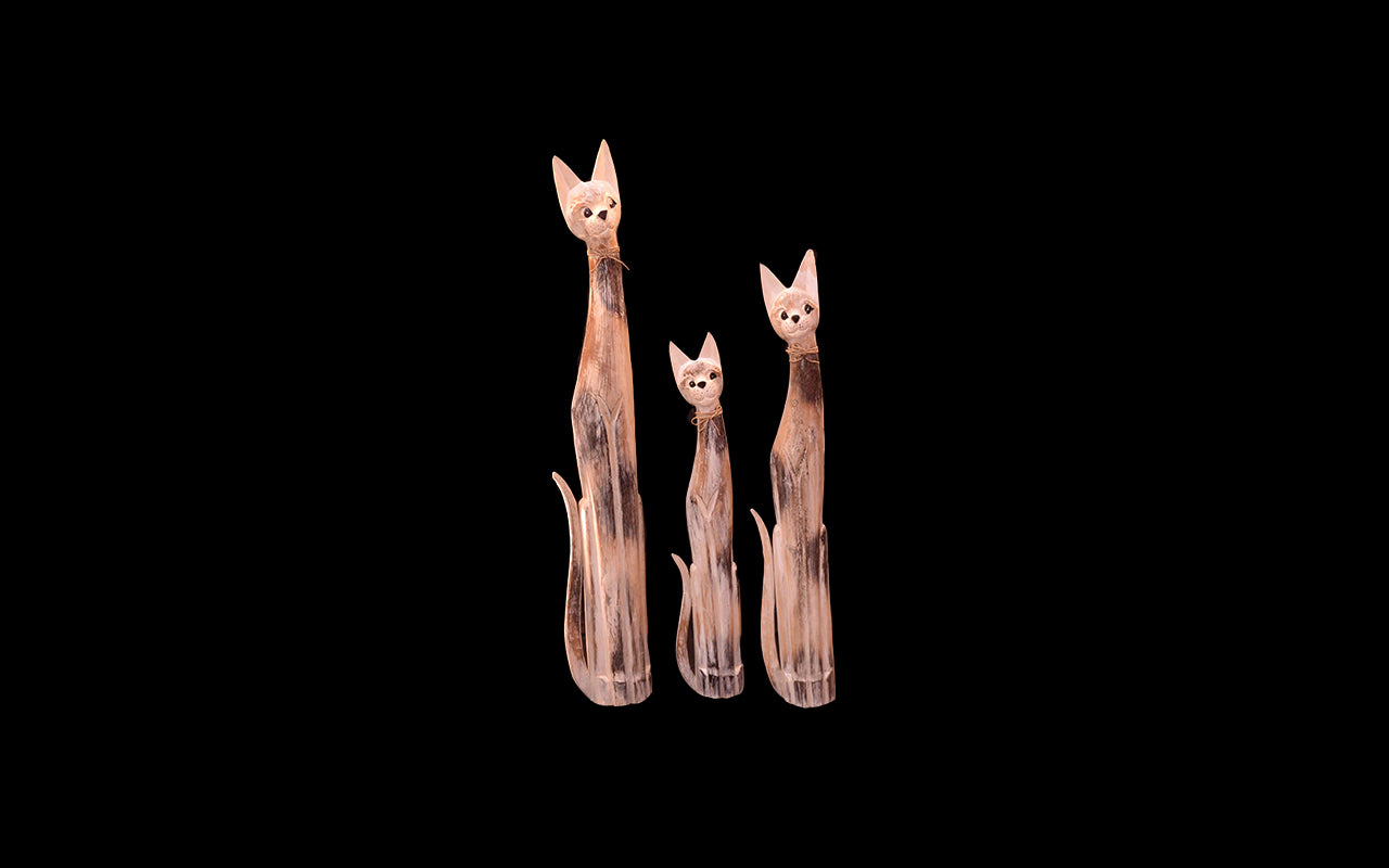 WCA0119 - Cat - 60"