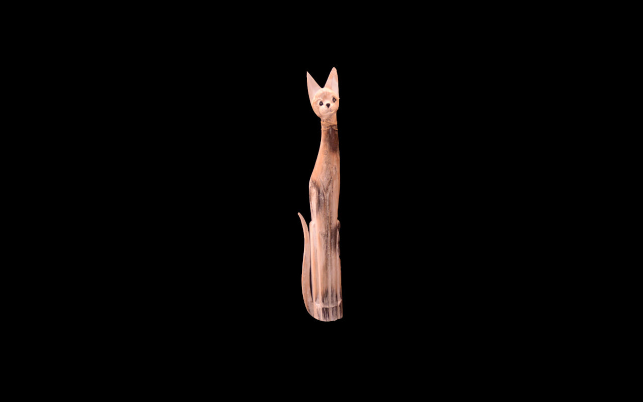 WCA0120 - Cat - 47"